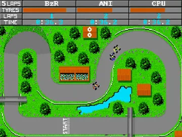 Karting Grand Prix screen shot game playing